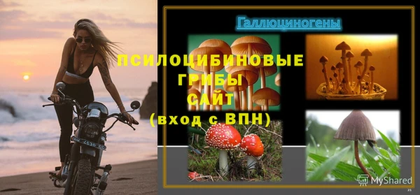 эйфоретик Белокуриха